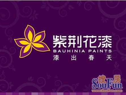 紫荆花艺术漆加盟_比美特艺术漆加盟_福建肌理漆艺术漆