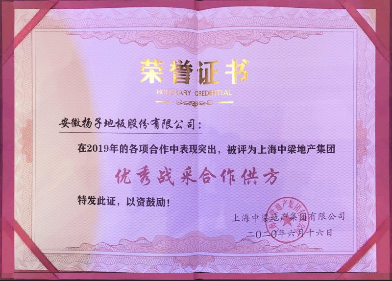 我想代理安徽扬子地板 扬子地板加盟支持有哪些_2