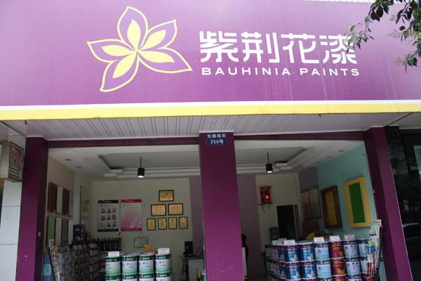 蒂伦嘉艺术涂料加盟_紫荆花艺术涂料加盟_乳胶漆艺术涂料加盟